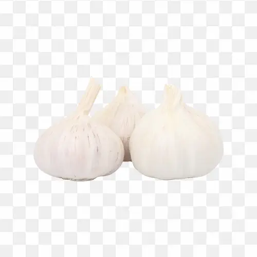 Garlic png transparent